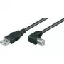 Wentronic Goobay USB 2.0 Hi-Speed laidas, juodas, 5 m - USB 2.0 kištukas (A tipas) > USB 2.0 kištukas (B tipas) (95118)