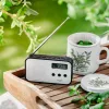 Nešiojamas skaitmeninis radijas Adler AD 1907 – AM/FM, skaitmeninis derintuvas, žadintuvas, USB-C, 600 mAh baterija, LCD, 20 stočių atmintis, teleskopinė antena