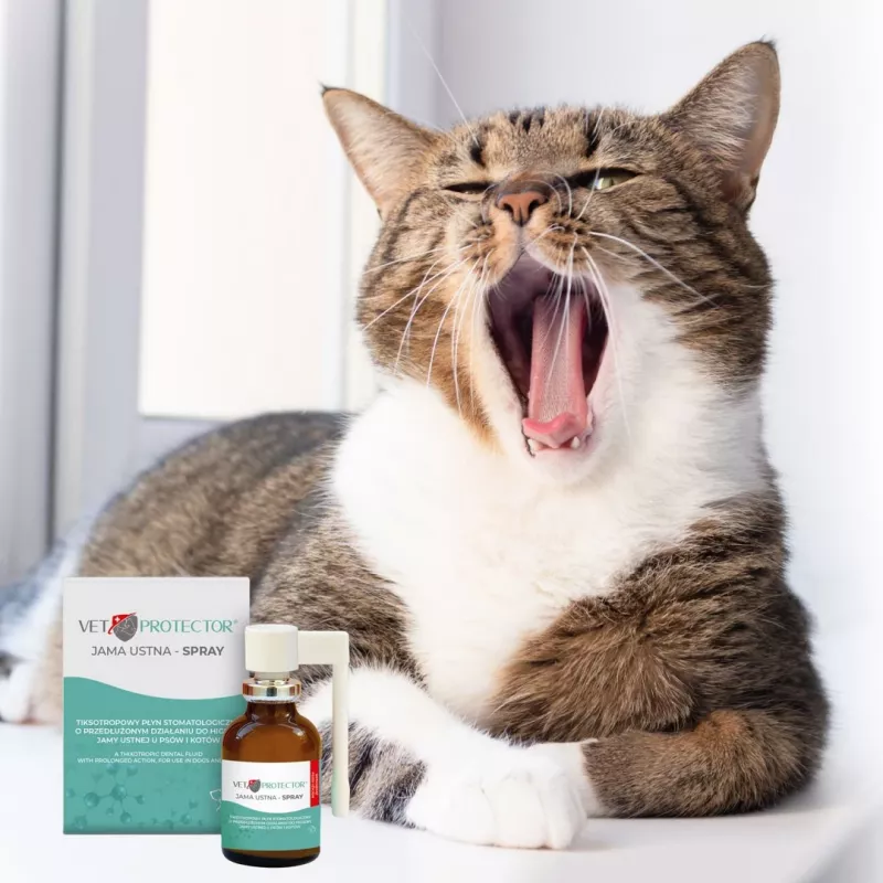Burnos ertmės purškalas JM Sante Vet Protector 30 ml šunims ir katėms, skystis, be konservantų, be cukraus