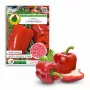 Sėklų granulės Seklos LT Ożarowska Paprika 50 sėklų (dengtos)