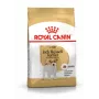 ROYAL CANIN Jack Russell Adult sausas šunų ėdalas - 1,5 kg