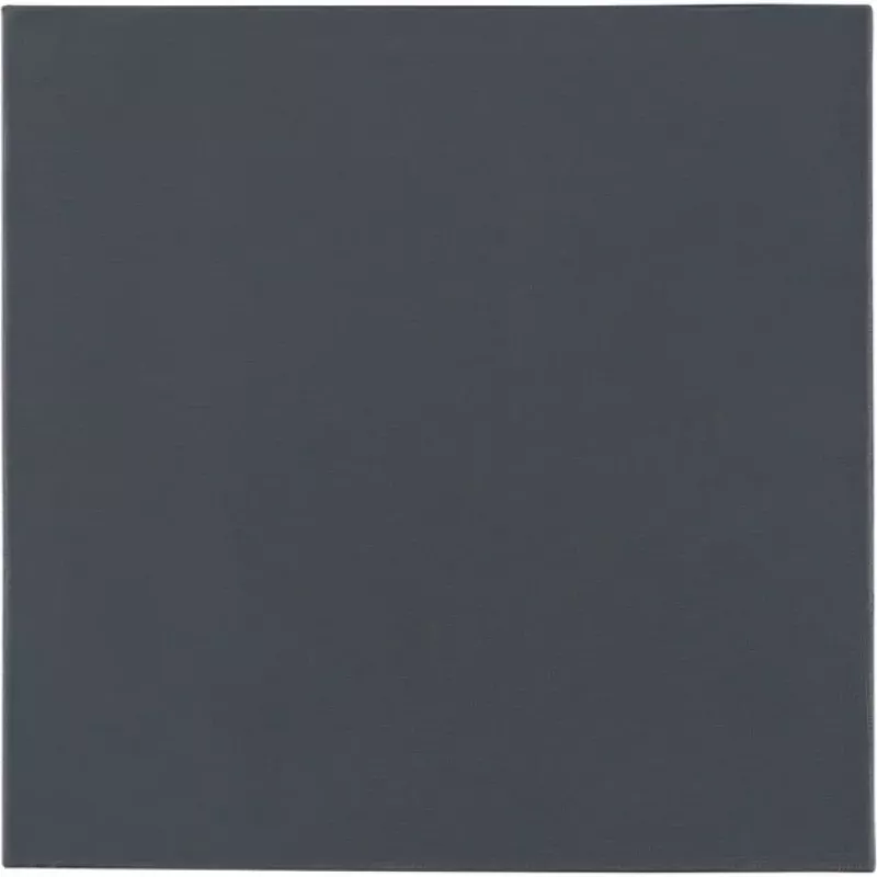 Termo padėklas Thermal Grizzly Minus Pad Pro - 100 x 100 x 1,5 mm