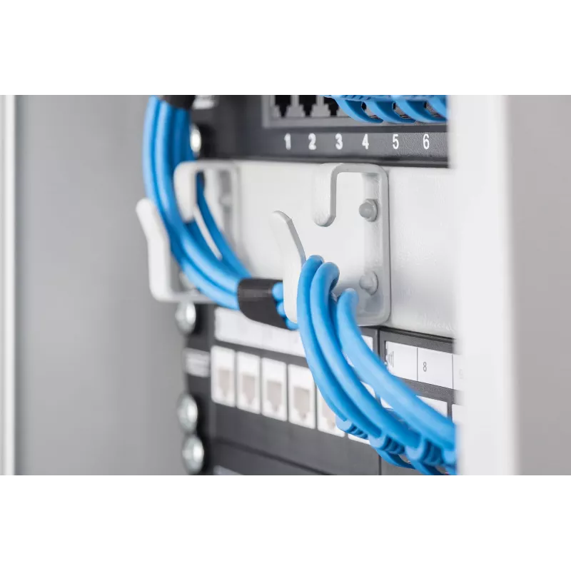 Kabelių tvarkymo skydelis Digitus DN-10 ORG-1U