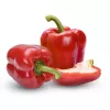 Sėklų pakelis Seklos LT Paprika Jolanta 0,5 g – saldžiųjų paprikų sėklos auginimui