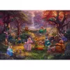Thomas Kinkade Studios: Disney - Robin Hood, Dėlionė 1000 dalių