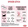 Sausas kačių ėdalas Royal Canin Kitten 10 kg – vištiena