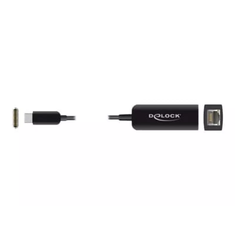 Adapteris USB Type-C (vyriškas) į 2.5 Gigabit LAN kompaktiškas DeLOCK 66645