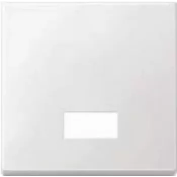 Merten 434819 šviesos jungiklis termoplastikas (434819)