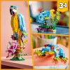 LEGO statybinis rinkinys Egzotiška papūga 31136 — Creator modelis, 253 detalės, 220×120×110 mm