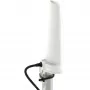 Kryptinė 4 dBi 5G/LTE antena Poynting A-OMNI-0280-02-V1 SMA (vyriška) 2 m kabelis, stiebo/sienos tvirtinimas, balta