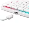 Mechaninė klaviatūra White Shark Nagamaki GK-006211 — kompaktiškas išdėstymas, Red mechaniniai jungikliai, baltas korpusas