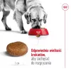Sausas šunų ėdalas Royal Canin Maxi Adult 5+ 15 kg – vištiena
