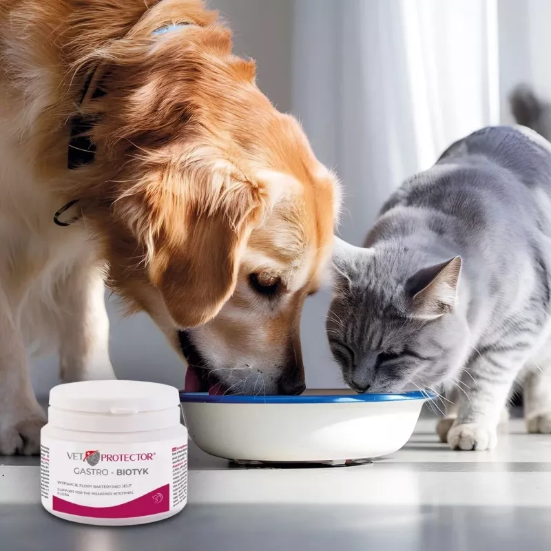 JM Sante Multibiotic Vet Protector Gastro probiotinis papildas šunims ir katėms, 60 g