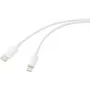 Renkforce USB 2.0 laidas USB-C® kištukas, Apple Lightning kištukas 2,00 m balta (matinė) RF-5724080