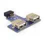 DeLOCK adapteris 9-pin 2.54 mm į 2 x USB 2.0 A, juoda/mėlyna/sidabrinė