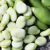 Sėklų pakelis Apte PNOS — Pupalukštis (stambiavaisė pupa) Jankiel Bialy, 50 g