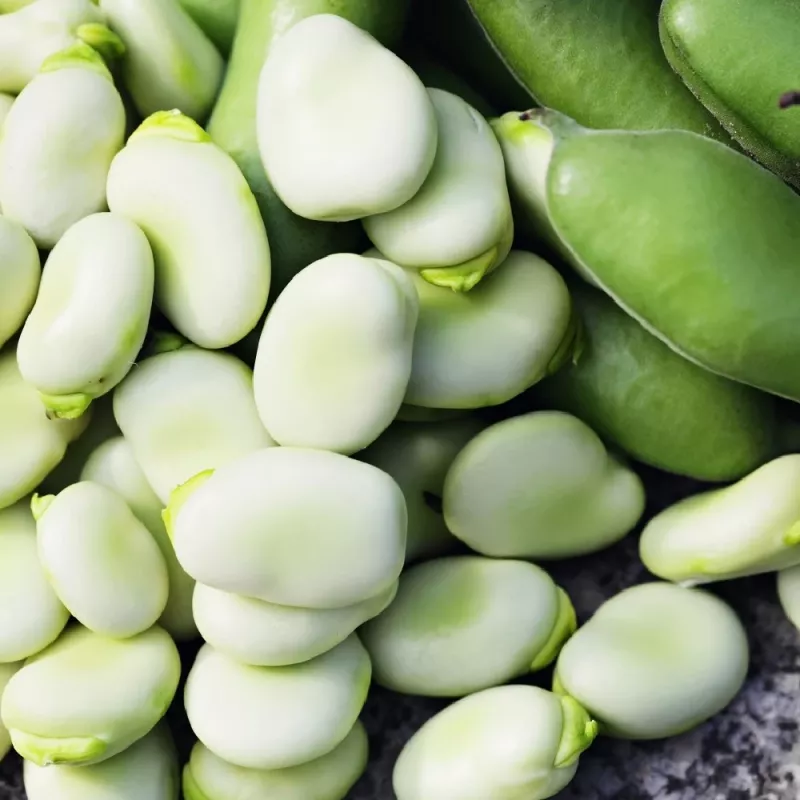 Sėklų pakelis Apte PNOS — Pupalukštis (stambiavaisė pupa) Jankiel Bialy, 50 g