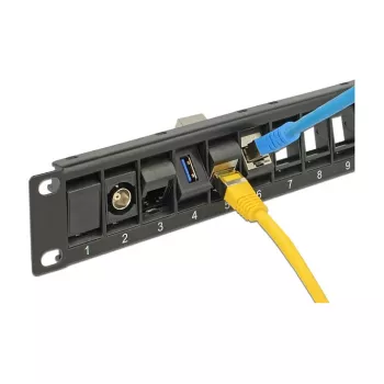 Patch panel DeLOCK 43340 – 24 prievadų, 19 inch montuojamas