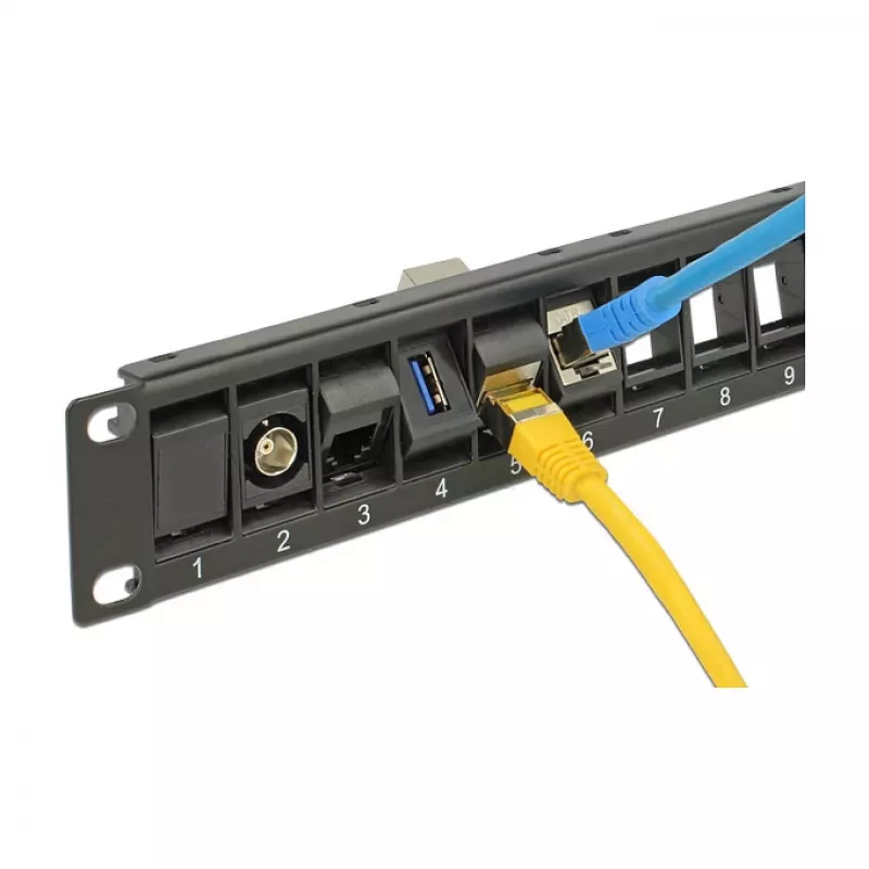 Patch panel DeLOCK 43340 – 24 prievadų, 19 inch montuojamas