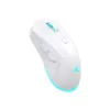 Pelė Baracuda Turtle BGM-122 balta TURTLE-W