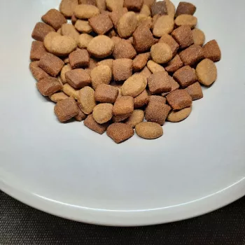 PUPIL Prime Mini Rich in poultry with beef - sausi šunų ėdalai - 10kg