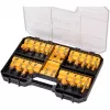 Frezių rinkinys DeWALT DT90017-QZ 22 vnt.
