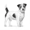 Sausas šunų ėdalas Royal Canin Gastrointestinal Low Fat Small — 1,5 kg, mažai riebalų turinti formulė mažiems suaugusiems šunims