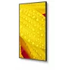 NEC MultiSync M651-2 Kiosk dizainas 165.1 cm (65 colių) LED 500 cd/m² 4K Ultra HD Juoda Įmontuotas procesorius