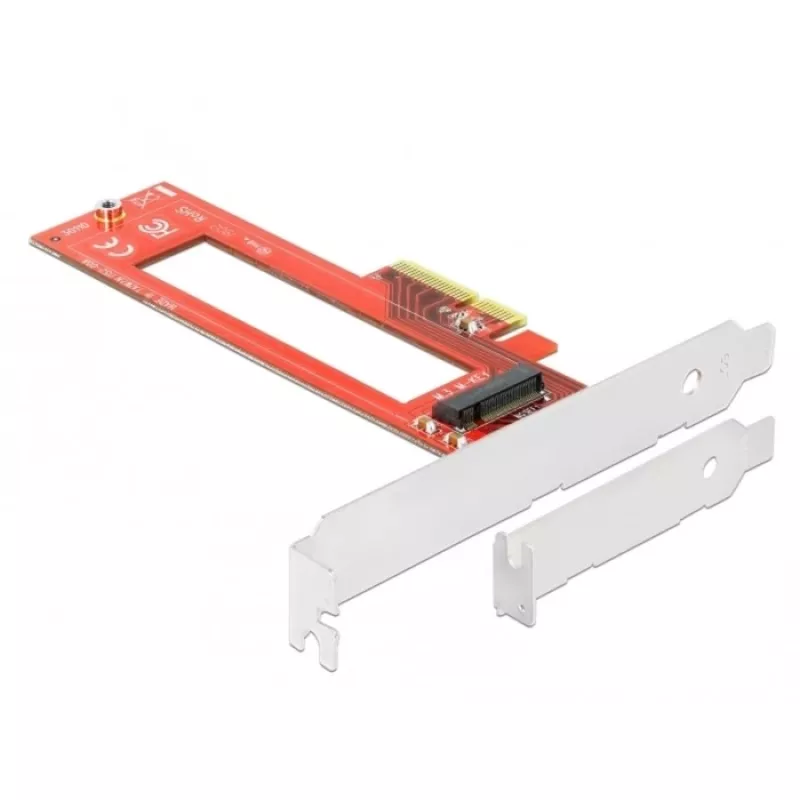 DELOCK 90401 PCIe sąsajos plokštė M.3 / NF1 (NGSFF) lizdui