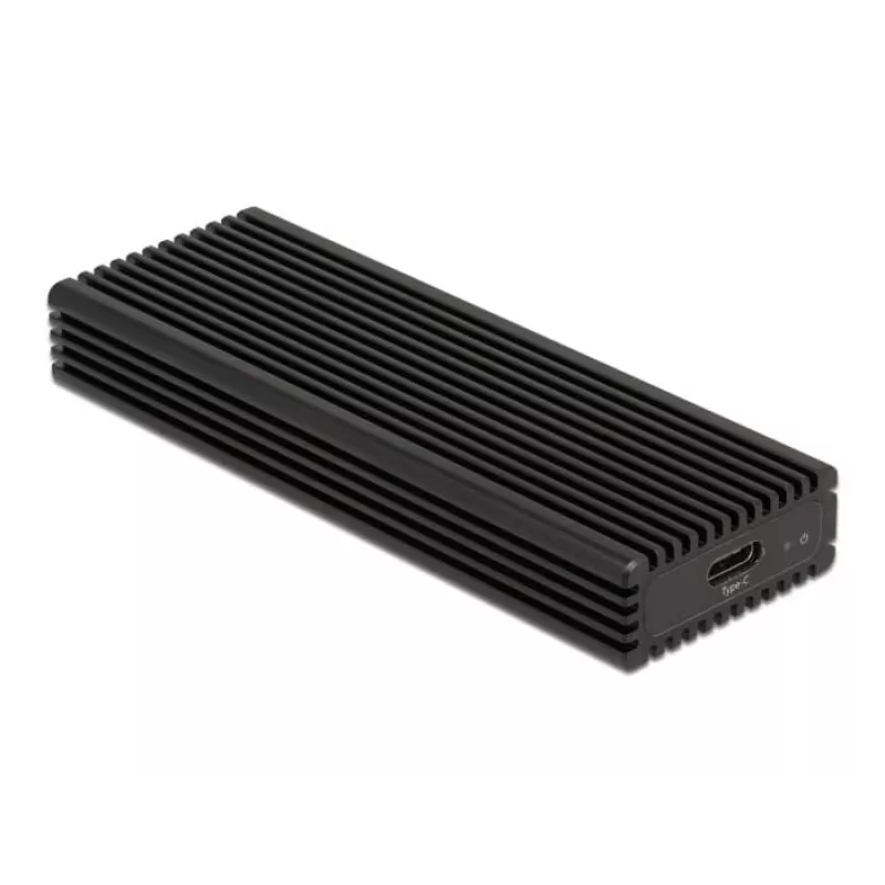DeLOCK išorinis SSD dėklas USB Type-C M.2 NVMe PCIe arba SATA SSD