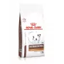 Sausas šunų ėdalas Royal Canin Gastrointestinal Low Fat Small — 1,5 kg, mažai riebalų turinti formulė mažiems suaugusiems šunims