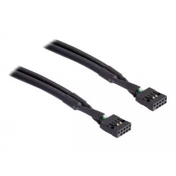Vidinis USB kabelis DeLOCK 82437 0,5 m 10 kontaktų moteriškas
