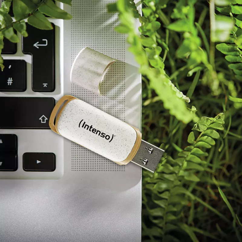 INTENSO atmintukas USB 3.2 64GB 3540490