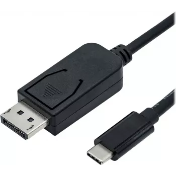 ROLINE - Adapterinis kabelis - USB-C (vyriškas) į DisplayPort (vyrišką) - USB 3.1 / DisplayPort 1.2 - 2 m - bi-direkcinis, palaiko 4K 60 Hz (3840 x 2160) - Juoda (11.04.5958)