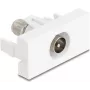 Kištukinis lizdas IEC / F DeLOCK 90828 Baltas 75 Ω Tiesus