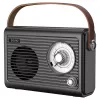 Nešiojamas radijo imtuvas Savio RS-01 Analog Black