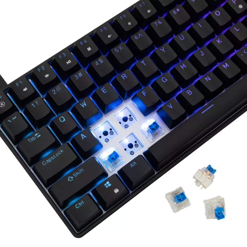 Mechaninė klaviatūra White Shark GK-005121 su RGB apšvietimu ir mėlynais jungikliais