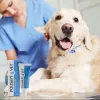 Žaizdų gelis JM Sante Polisept Vet 30 ml šunims ir katėms, tūtelė 30 ml, 50 g