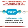 Sausas šunų ėdalas Royal Canin Golden Retriever Junior 12 kg – paukštiena, 29% baltymų, 16% riebalų