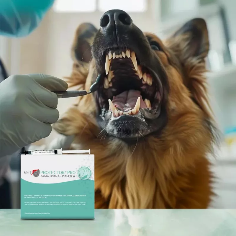 Veterinarinis dantų gelis JM Sante Vet Protector burnos ertmei ir dantenoms