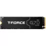 Team Group T-FORCE G70 Pro 2 TB PCIe 4.0 x4 | M.2 2280 | Grafeninis aušintuvas