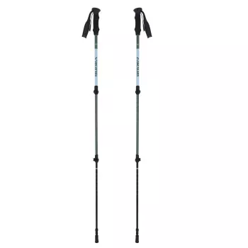 Žygio lazdos suaugusiems VIKING Kivi 2.0 Trekking Green UNI