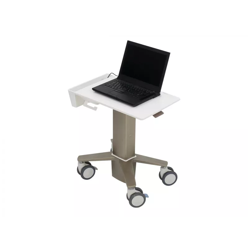 Nešiojamojo kompiuterio stovas Ergotron C50-1100-0 Pilka 39,6 cm