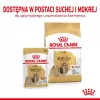 ROYAL CANIN Shih Tzu Suaugusiems Šlapias šunų maistas Pâté 12x85 g
