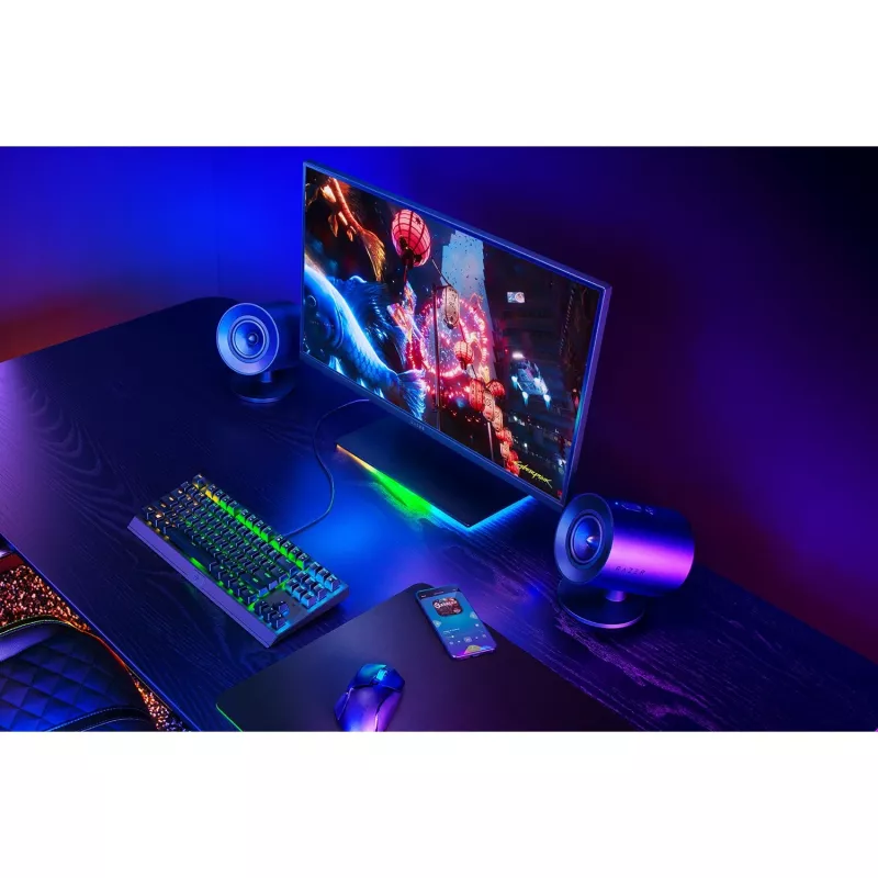 Pilno diapazono garsiakalbis Razer Nommo V2 X 2.0 kanalų