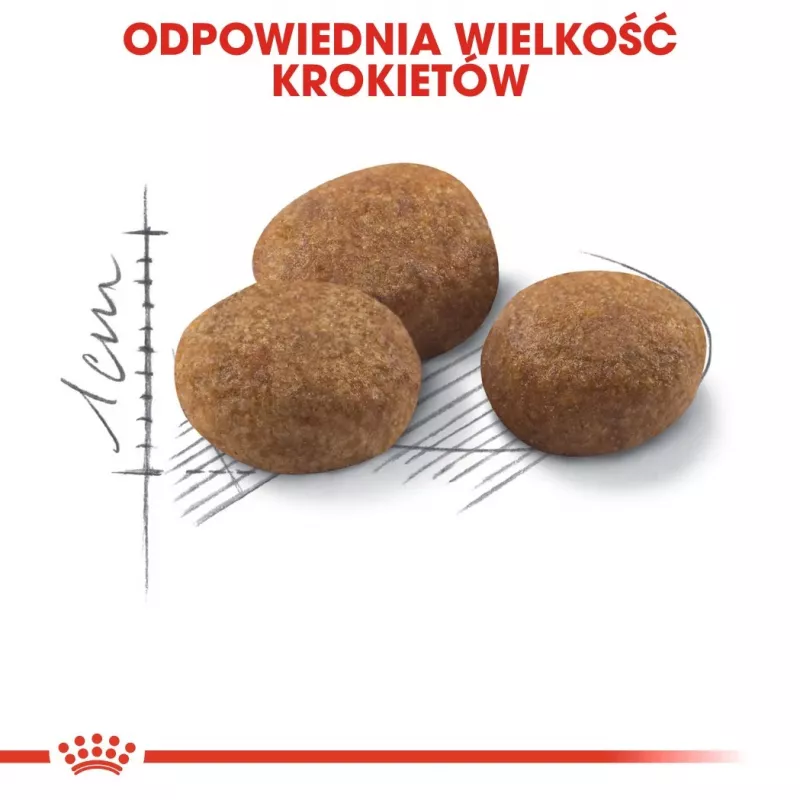 ROYAL CANIN Sterilised 7+ - sausas kačių ėdalas - 10 kg