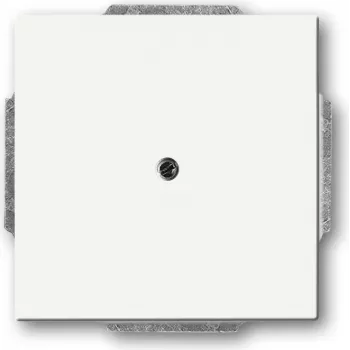 BUSCH JAEGER 1742-884 – Baltas metalinis ir plastikinis jungiklio rėmelis, matinis, 63×63 mm
