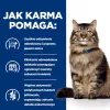 HILL'S PD Gastrointestinal Biome - sausas kačių ėdalas - 1,5 kg