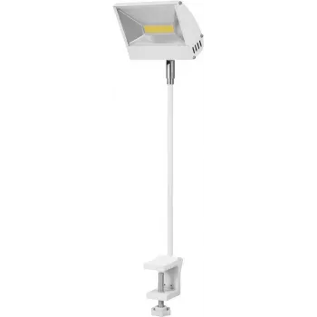 LED prožektorius EUROLITE KKL-30 4100K Baltas