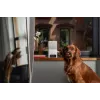 Petcube Camera Bites 2 Lite / BL10US